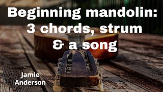 Mandolin for beginners [upl. by Wearing892]