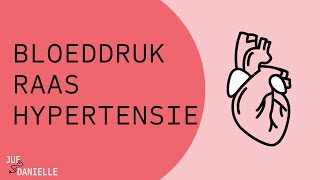 Bloeddruk RAAS en hypertensie [upl. by Aratehs]