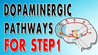 Dopaminergic Pathways [upl. by Bierman411]