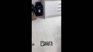 江江你的肉醬！！🤬🤬 [upl. by Janna]