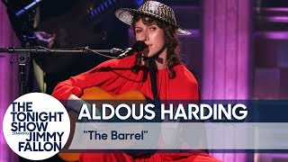 Aldous Harding The Barrel [upl. by Pironi]