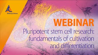 Pluripotent stem cell research fundamentals of cultivation and differentiation WEBINAR [upl. by Yonatan]