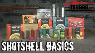 Ammo For Beginners Shotshell Basics [upl. by Cowles]