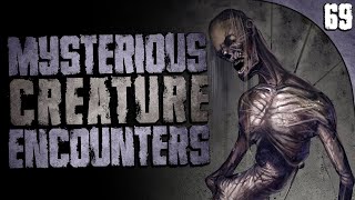 69 DISTURBING amp Mysterious Creature Sightings Compilation [upl. by Darrill490]