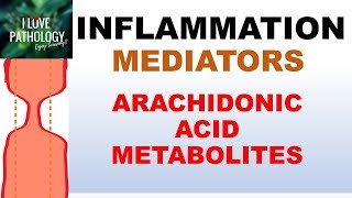 INFLAMMATION Part 5 Chemical Mediators ARACHIDONIC ACID METABOLITES [upl. by Onitnelav]