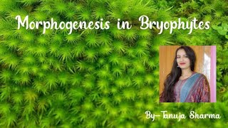 Morphogenesis in Bryophyte [upl. by Aluap]