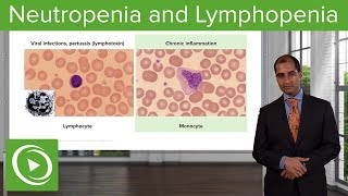 Quantitative WBC Disorders Leukocytosis amp Leukopenia – Pathology  Lecturio [upl. by Iclek182]