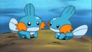 Mudkip the Mud Fish Pokemon [upl. by Fisa]