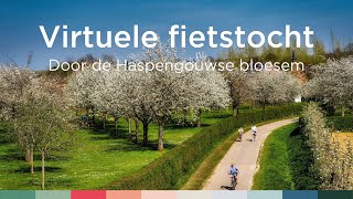 Virtuele fietstocht door de Haspengouwse bloesems  Visit Limburg [upl. by Aehsila]