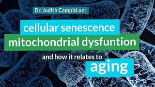 Judith Campisi PhD on Cellular Senescence Mitochondrial Dysfunction Cancer amp Aging [upl. by Othella]