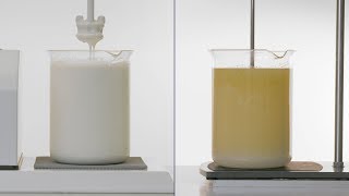 How to Make a Stable Emulsion – Oil and Water Emulsions [upl. by Piane652]