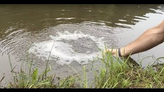 DIY Pond Aeration Improve Your Pond Water Quality plus quotBig Maxquot vs Hiblow aerators [upl. by Treacy]