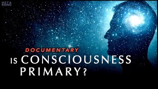 Is Consciousness Primary to Reality Documentary [upl. by Amadas]