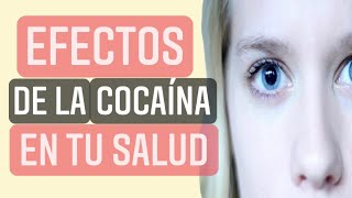 COCAÍNA Efectos en la SALUD  TOXICOLOGÍA 4 ✅✅ [upl. by Netram582]