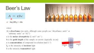 Spectrophotometric Enzyme Assays [upl. by Bowrah157]