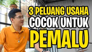 3 Peluang Usaha yang Cocok untuk PEMALU [upl. by Anitsyrhc]