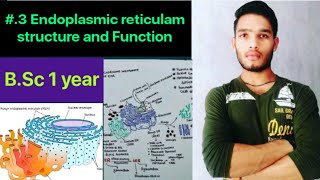 Endoplasmic reticulam Structure and function [upl. by Middlesworth646]