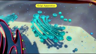 Practicallys Concepts  Golgi Apparatus  LearnPractically [upl. by Aeneg]