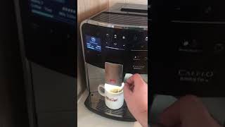 Fixing the Melitta Caffeo Barista TSPart 3 Final part [upl. by Akinahs]