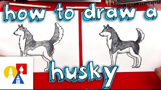 How To Draw A Husky [upl. by Ahset]