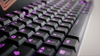 SHARKOON PureWriter TKL RGB  Mechanisch RGB und KOMPAKT  Was will man mehr [upl. by Treblig751]