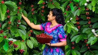 Fresh coffee beans makes wonderful dishes  Orange coffee cake recipe  Poorna  The nature girl [upl. by Anehc]