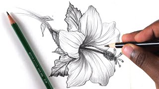 How To Draw A Flower Step by Step In 10 Minutes [upl. by Boudreaux]