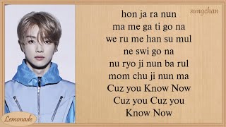 NCT U  Know Now Easy Lyrics [upl. by Ecnerrat]