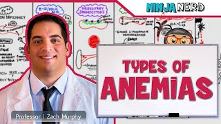 Hematology  Types of Anemias [upl. by Assirehc]