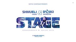 Audio Preview Shmueli Ungar and  Hemenagnim  On Stage [upl. by Leonardi]