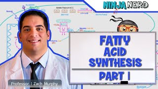 Metabolism  Fatty Acid Synthesis Part 1 [upl. by Horvitz]