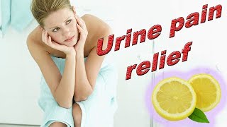 How To Relieve Painful Burning Urination  Best Treatment For Dysuria At Home [upl. by Larrad]