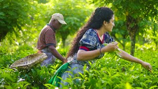 Ceylon Tea Recipe Homemade Tea  World Famous Sri Lankan Secret  Poorna  The nature girl [upl. by Navar]