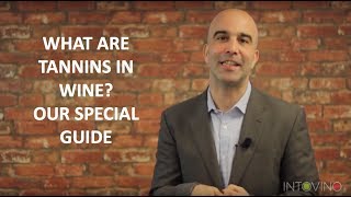 What Are Tannins in Wine Our Special Guide [upl. by Alyce]