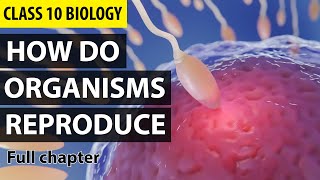 How Do Organisms Reproduce Class 10 Full Chapter Animation  Class 10 Science Chapter 8  NCERT [upl. by Oesile206]