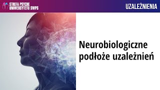 Neurobiologiczne podłoże uzależnień – dr n med Joanna Krawczyk [upl. by Anialem435]