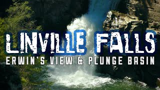 Linville Falls  Plunge Basin amp Erwins View [upl. by Brost930]