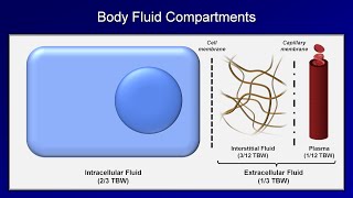 How superficial thrombophlebitis develops [upl. by Firmin102]