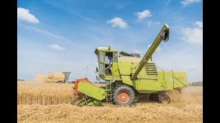 Moisson 2019 à lancienne  Claas Mercator 75  New Holland 8060 [upl. by Annovahs]