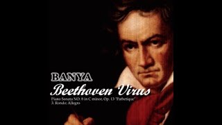 Beethoven Virus Diana Boncheva 1 Hour Loop [upl. by Iormina]