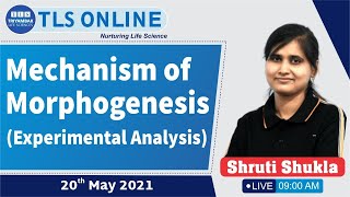 Mechanism of morphogenesis Experimental Analysis [upl. by Theresa]