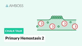 Primary Hemostasis  Part 2 Platelet Activation [upl. by Yaj]