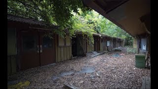 Disneys Forgotten Theme Park  Abandoned Discovery Island [upl. by Gerome415]