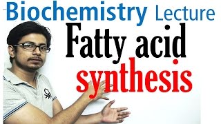 Fatty acid synthesis [upl. by Philippe]