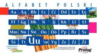 Alfabet polski  Polish Alphabet pronunciation  PROLOG Publishing [upl. by Ion]