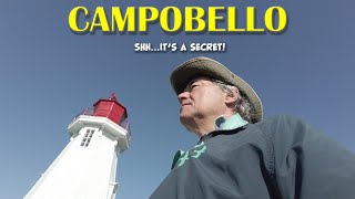 CAMPOBELLO  Secret Birding [upl. by Ydnagrub72]