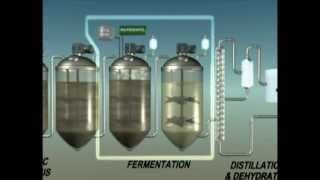 Biochemical Conversion of Biomass to Biofuels [upl. by Lahsram152]