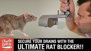 How to Install the ULTIMATE Drain Rat Blocker [upl. by Ulberto]